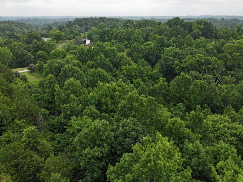 10792 New Columbus Road, Owenton, KY 40359 Photo 17