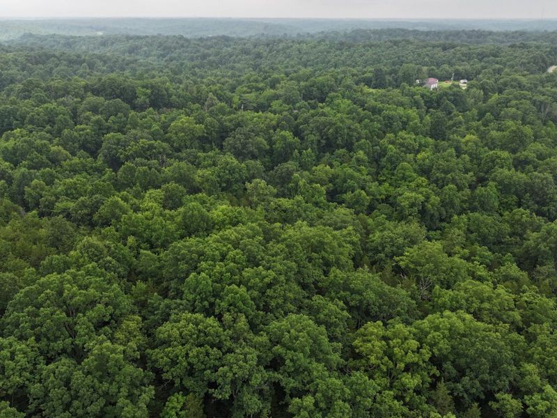 10792 New Columbus Road, Owenton, KY 40359 Photo 18