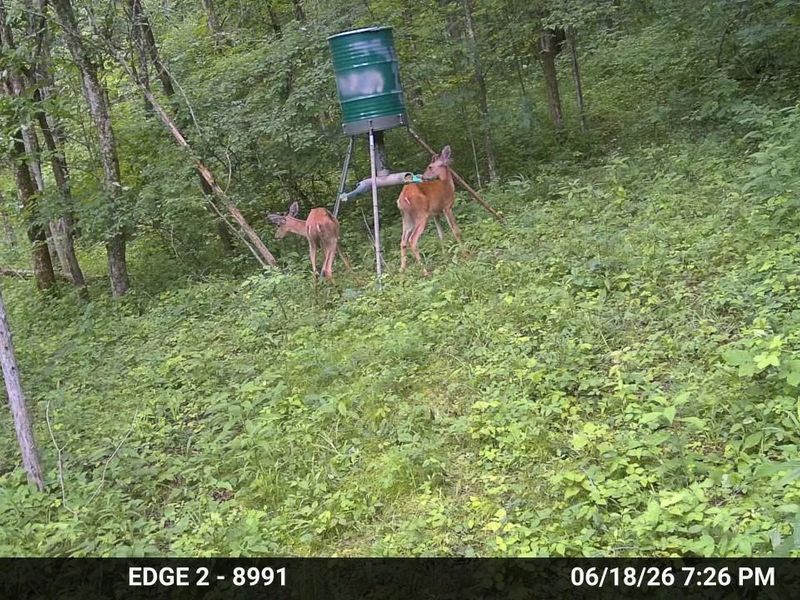 10792 New Columbus Road, Owenton, KY 40359 Photo 4