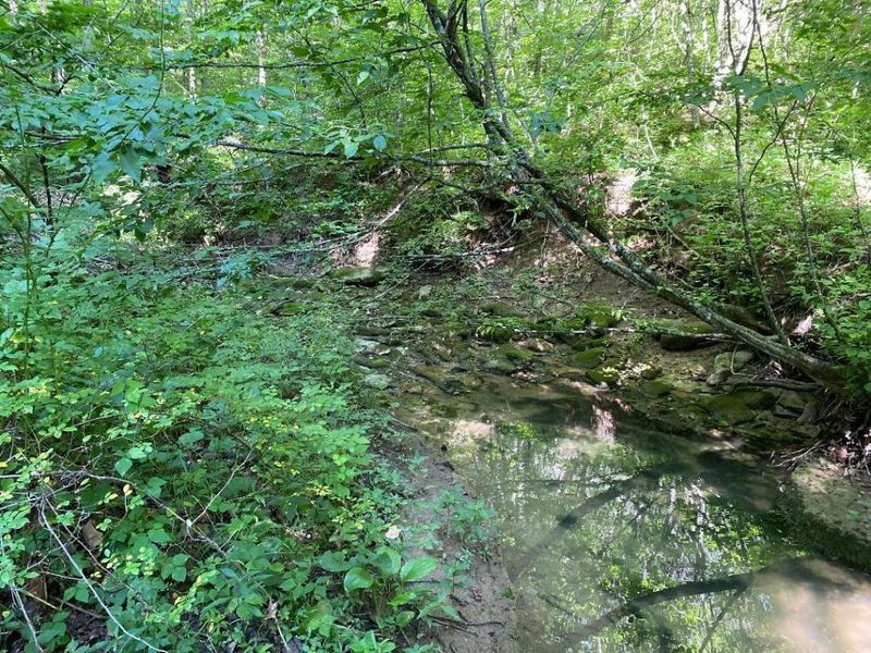 10792 New Columbus Road, Owenton, KY 40359 Photo 9