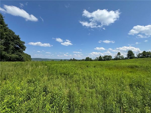 Wilbur Hill Road, Butternuts, NY 13776