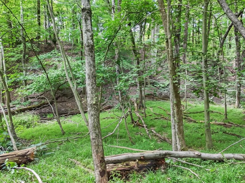 7525 95 Road, Unit Butcher Kn, Somerset, OH 43783 Photo 21