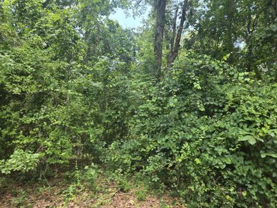 12 Pinewood Drive, Santee, SC 29142