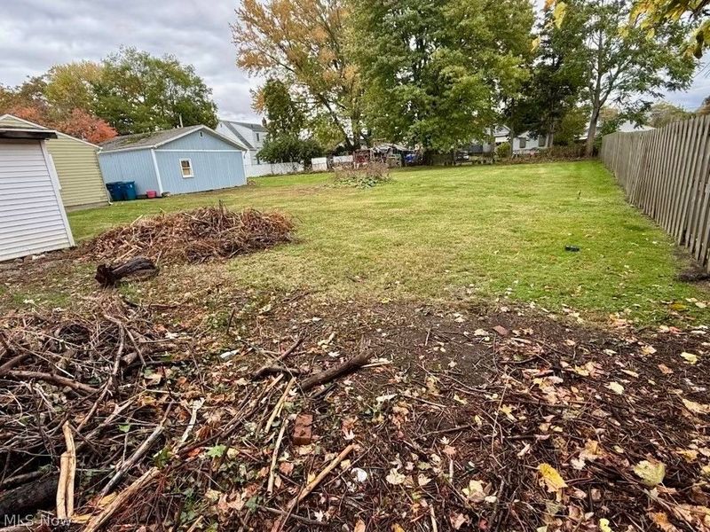 477 Henry Street, Painesville, OH 44077 Photo 12