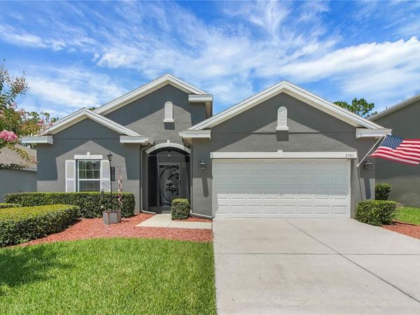 2580 PLUMADORE DRIVE , GRAND ISLAND, FL 32735