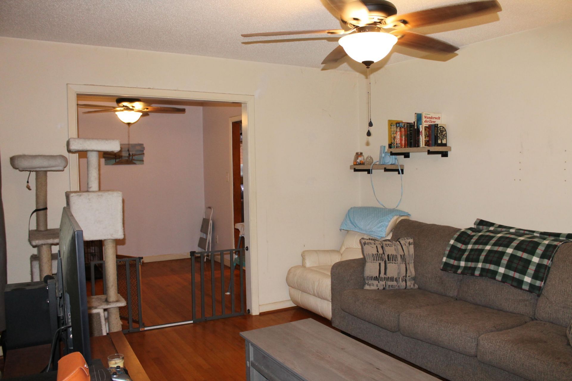 502 Dogwood Circle Photo 12