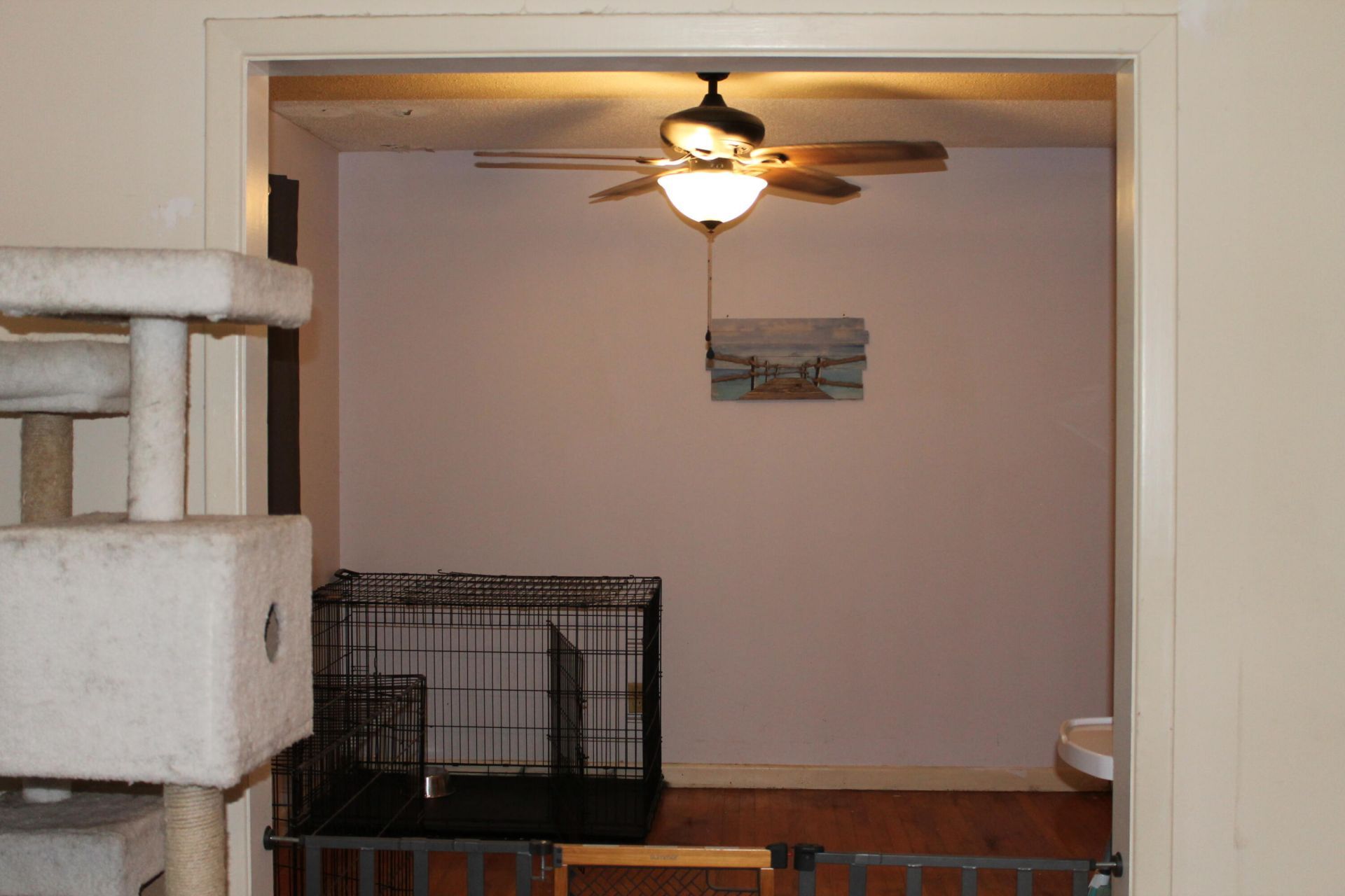 502 Dogwood Circle Photo 14