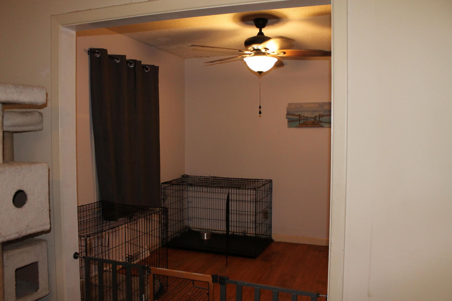 502 Dogwood Circle Photo 15