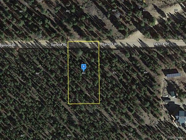 852 Spruce Drive , Twin Lakes, CO 81251
