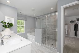 290 Summer Orchard Drive  photo 4