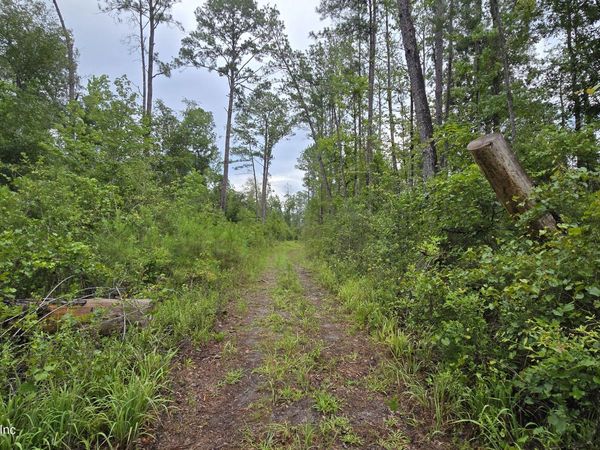 16 16TH Street NW, Jasper, FL 32052