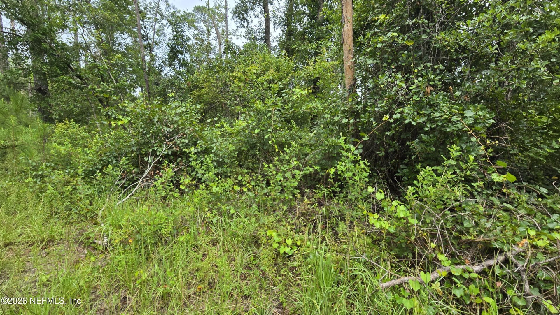 Lot 16 16th Street Nw, Jasper, FL 32052 Photo