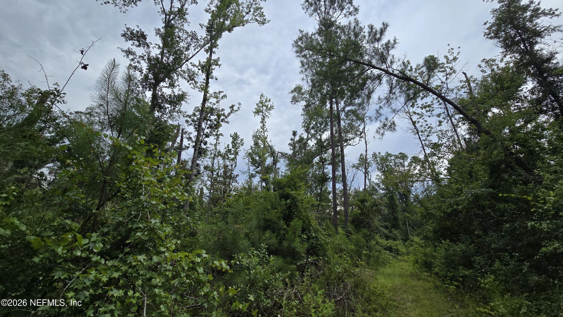 Lot 16 16th Street Nw, Jasper, FL 32052 Photo