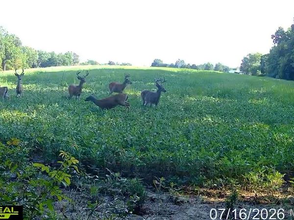 920 S Poplar Camp Road , Makanda, IL 62958