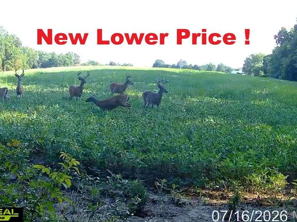 920 S Poplar Camp Road, Makanda, IL 62958