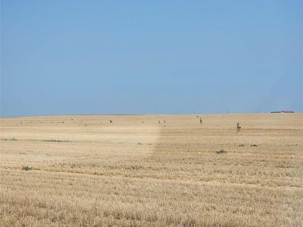 0 County Road 81 , Roggen, CO 80652