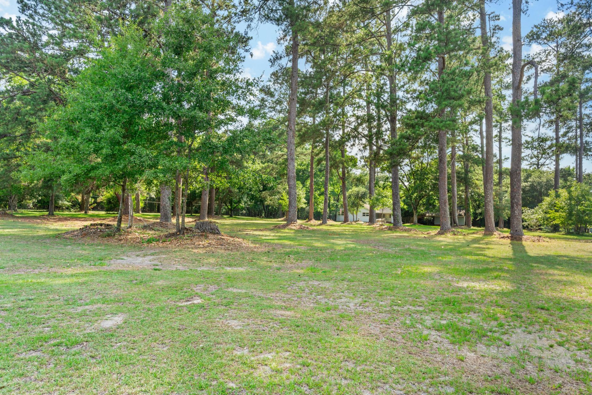 3022 Cordova Road Photo 34