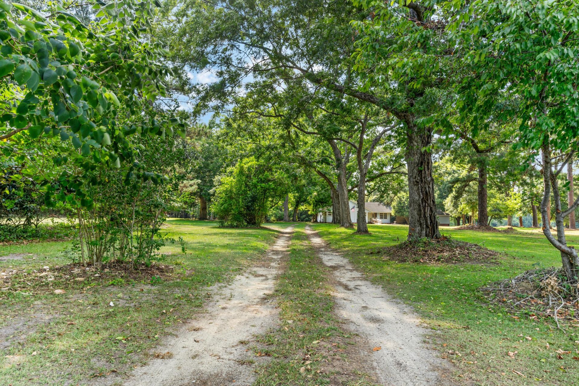 3022 Cordova Road Photo 4