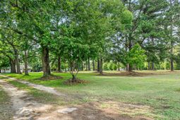 3022 Cordova Road photo 4