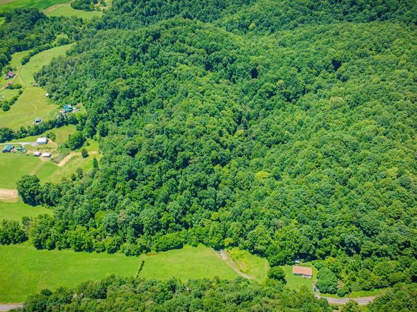 Tbd Hickory Cove Road, Rogersville, TN 37857