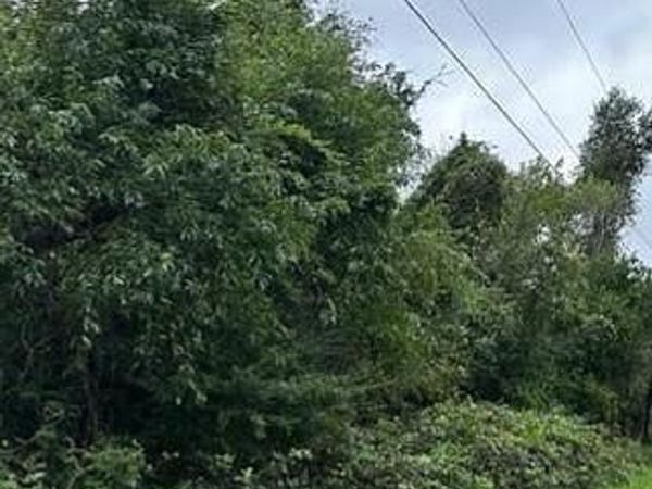 2738 BANK ROAD , NANTICOKE, MD 21840