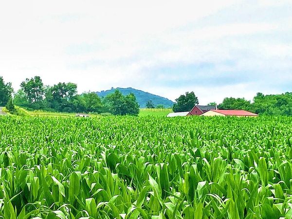 8368 ALLEMAENGEL ROAD , NEW TRIPOLI, PA 18066