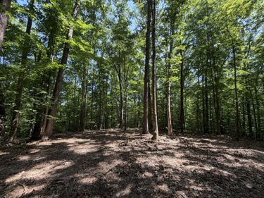 Lot 4A PARRISH ROAD , LOUISA, VA 23093