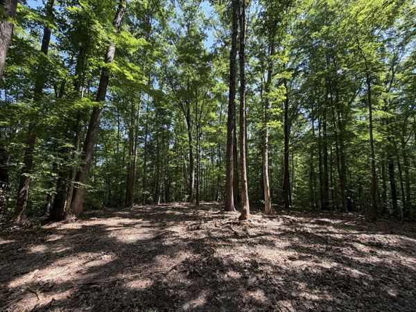 Lot 4A PARRISH ROAD , LOUISA, VA 23093