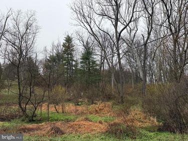 581 MONOCACY HILL ROAD, BIRDSBORO, PA 19520