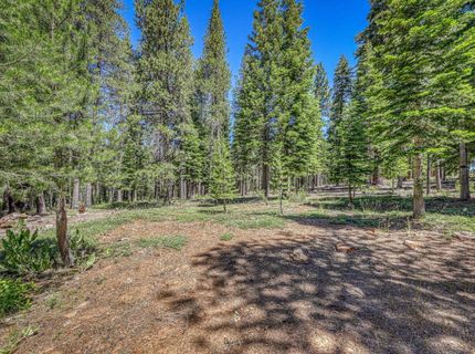 13862 Swiss Lane, Truckee, CA 96161 Photo