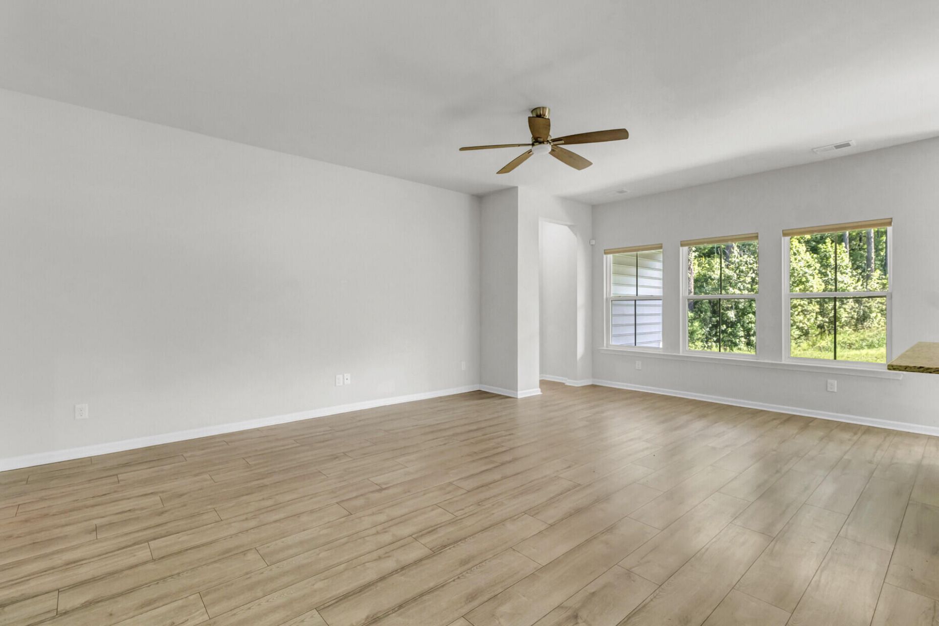 991 Arrowwood Way Photo 10