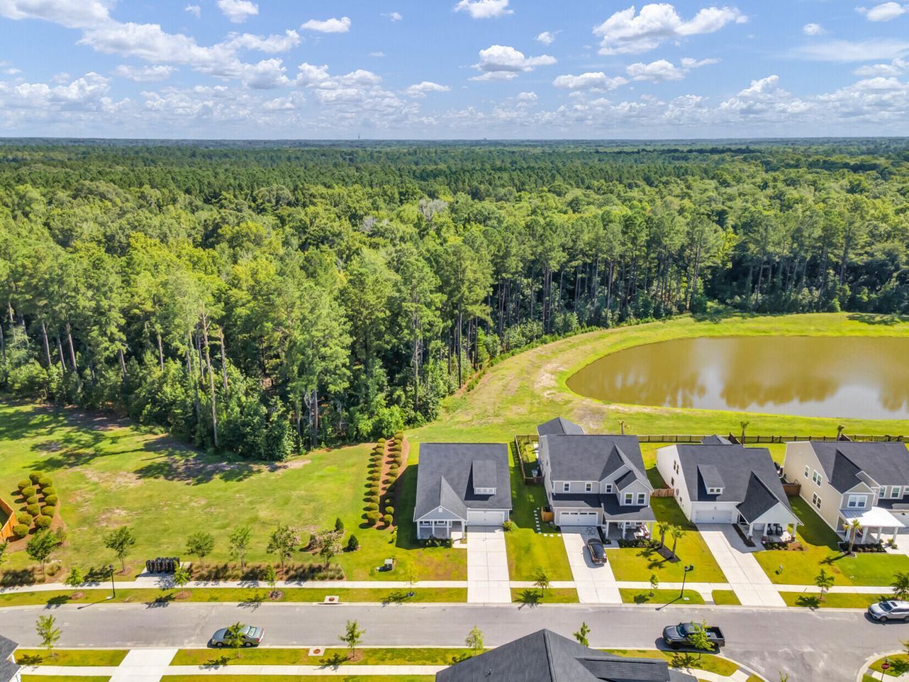 991 Arrowwood Way Photo 3