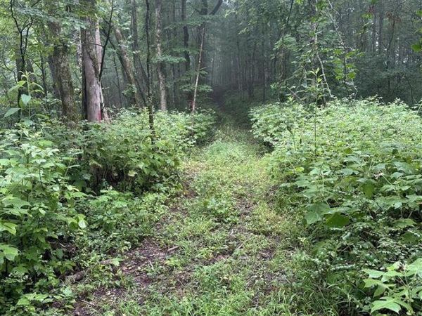 Ac Elbow Bend Road , Tompkinsville, KY 42167