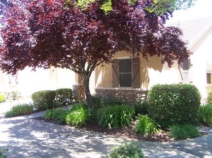 1649 Marseille Ln, Roseville, CA 95747 Photo
