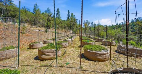 17468 Scopar Rd, Grass Valley, CA 95949 Photo