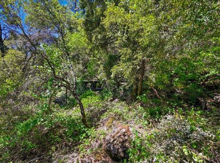 17468 Scopar Rd, Grass Valley, CA 95949 Photo