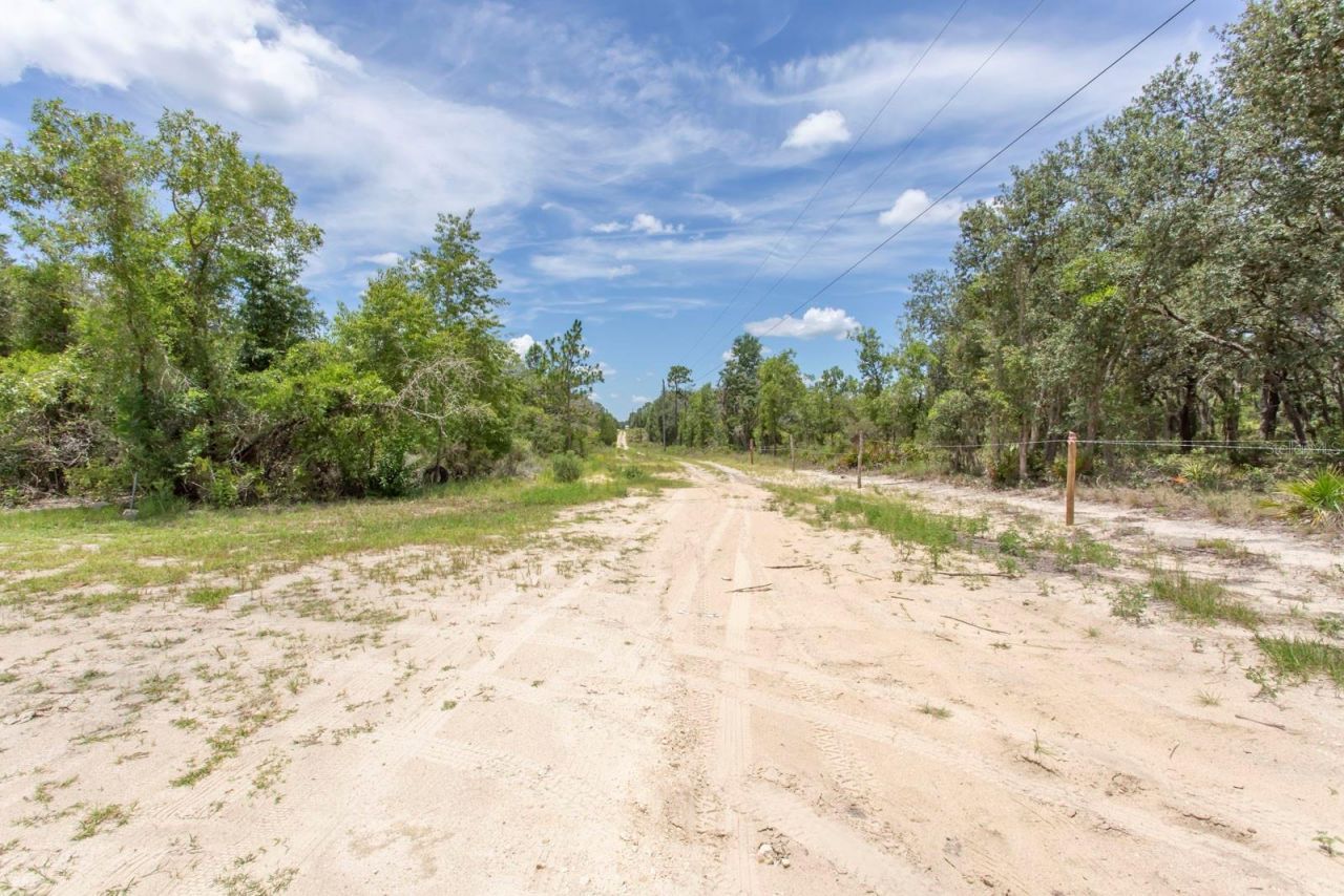 11960 NE 67th Lane , Williston, FL 32696 Photo