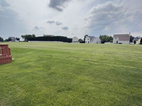 Main Photo