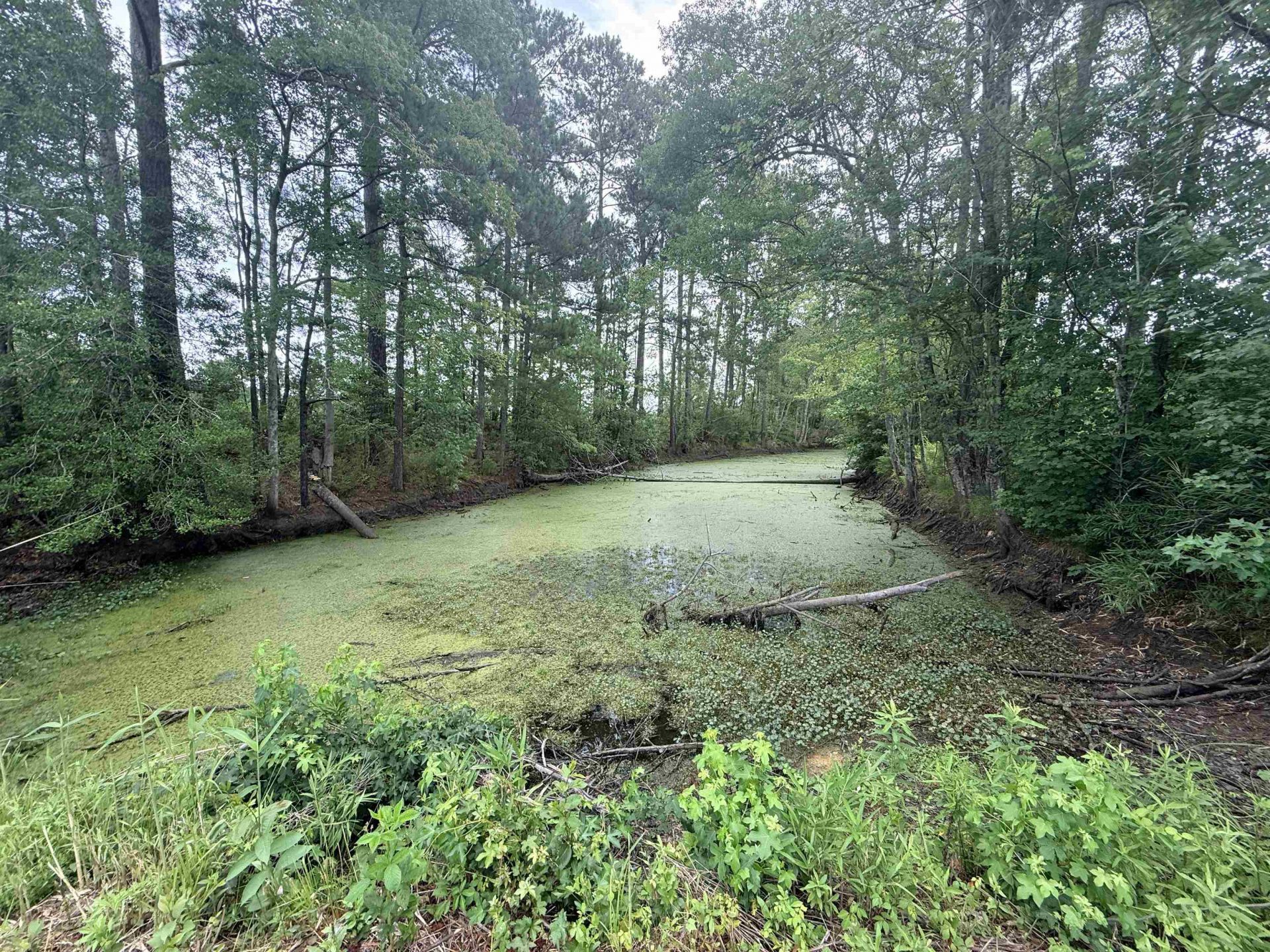 1991 Church Rd. Photo 15