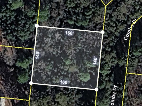 205 Combs Drive, Montezuma, GA 31063