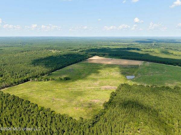 79 County Road 2349 , Louin, MS 39338