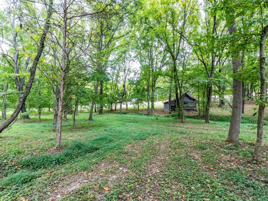 Property Image 47