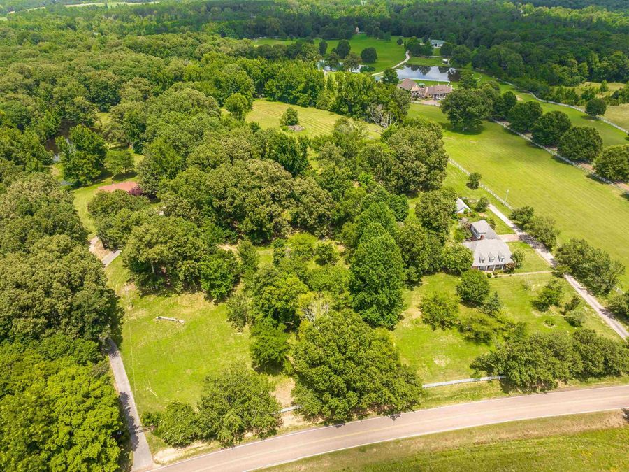 Property Image 39