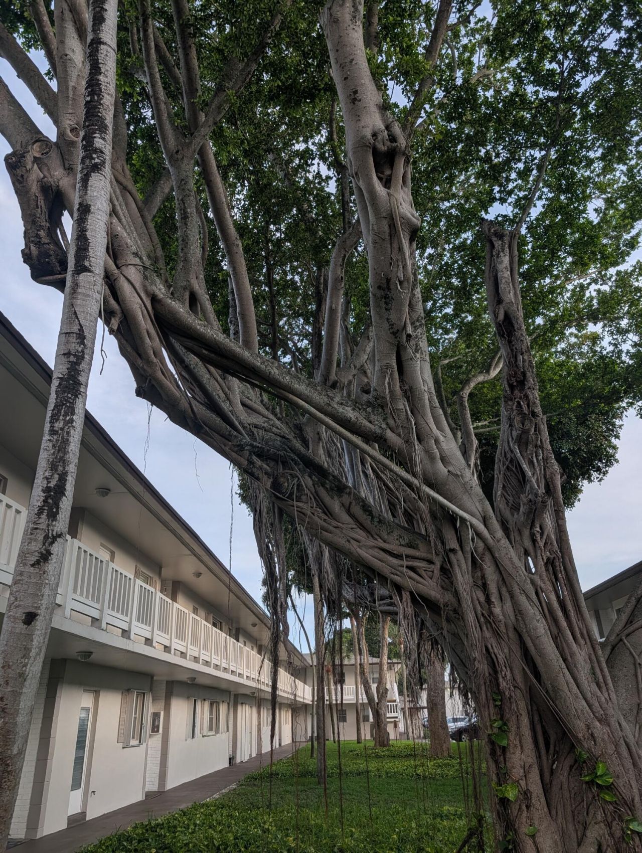 430 SE 2nd Avenue, Unit 24, Deerfield Beach, FL 33441 Photo