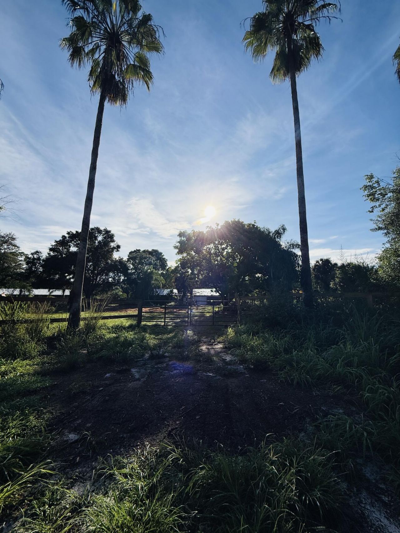 3208 A Road, Loxahatchee Groves, FL 33470 Photo