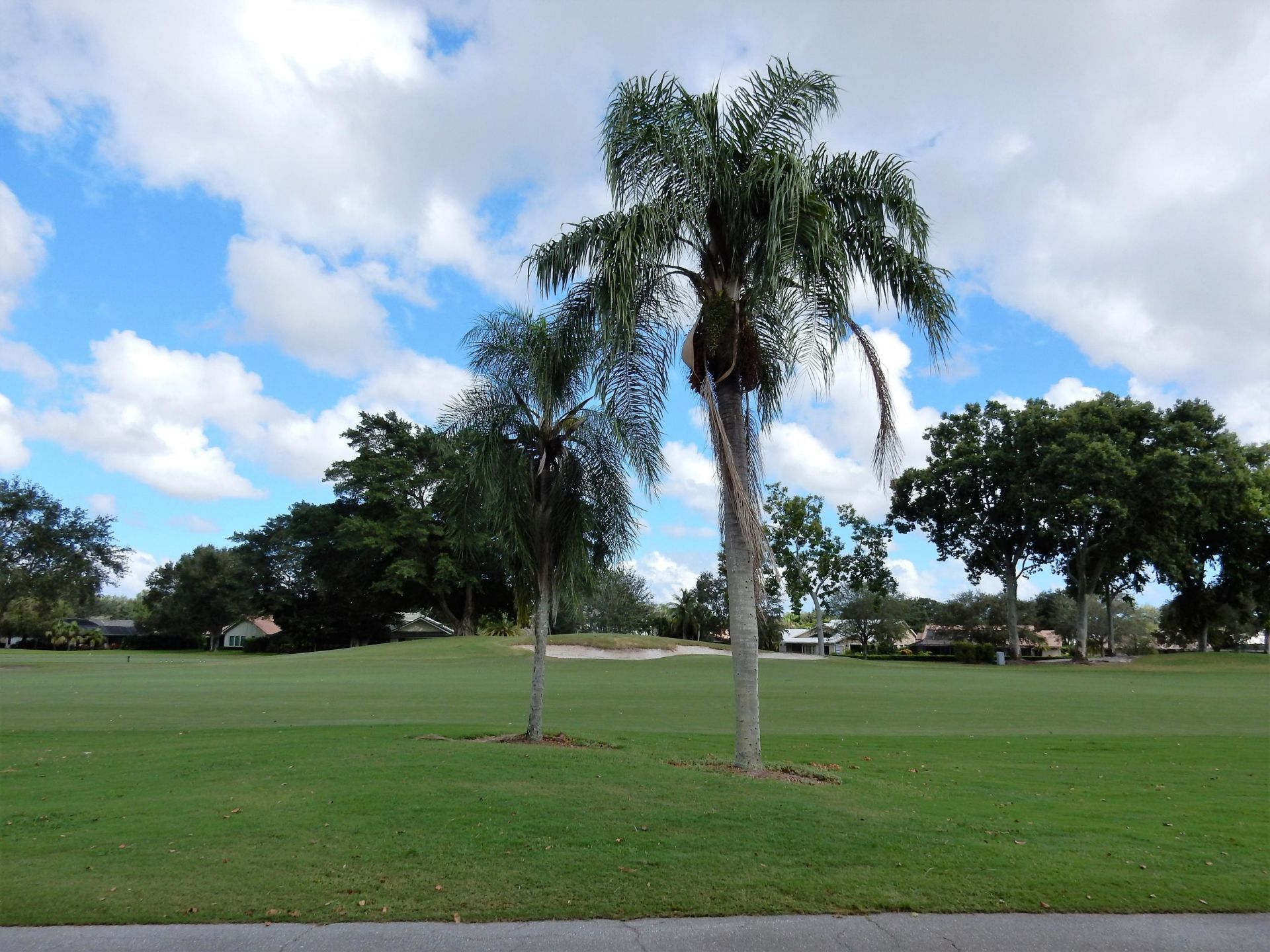 225 Old Meadow Way, Palm Beach Gardens, FL 33418 Photo