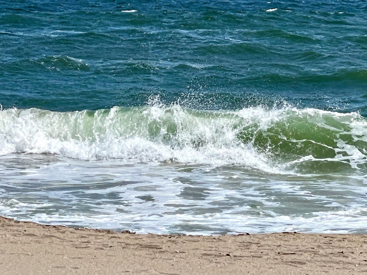 1239 Hillsboro Mile, Unit 302, Hillsboro Beach, FL 33062 Photo