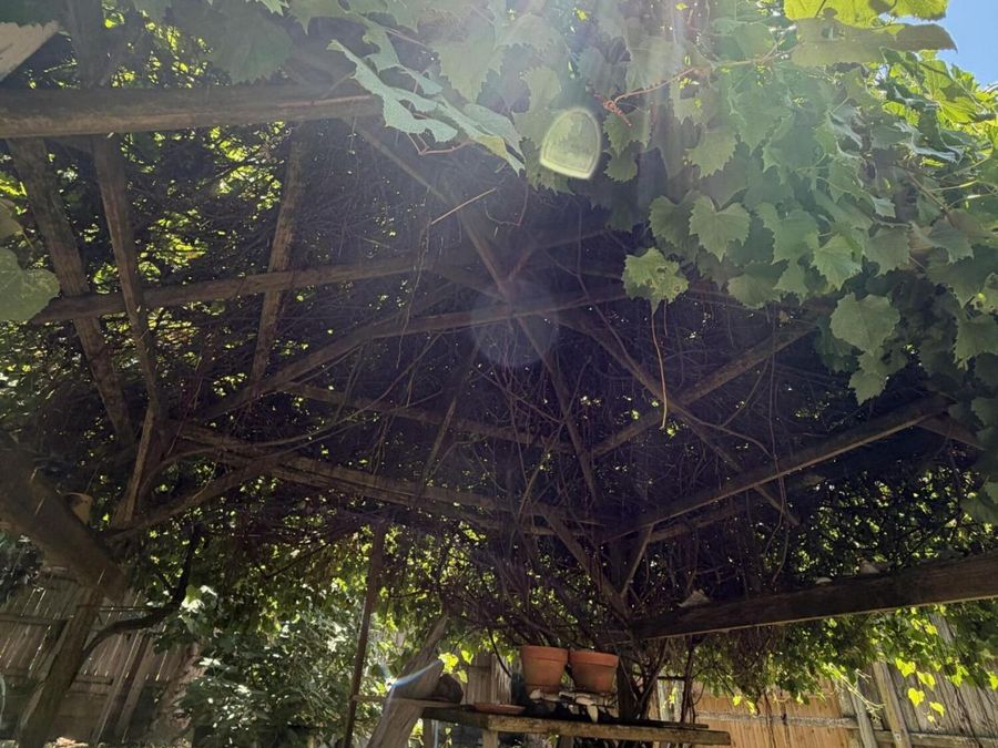 Property Image 49