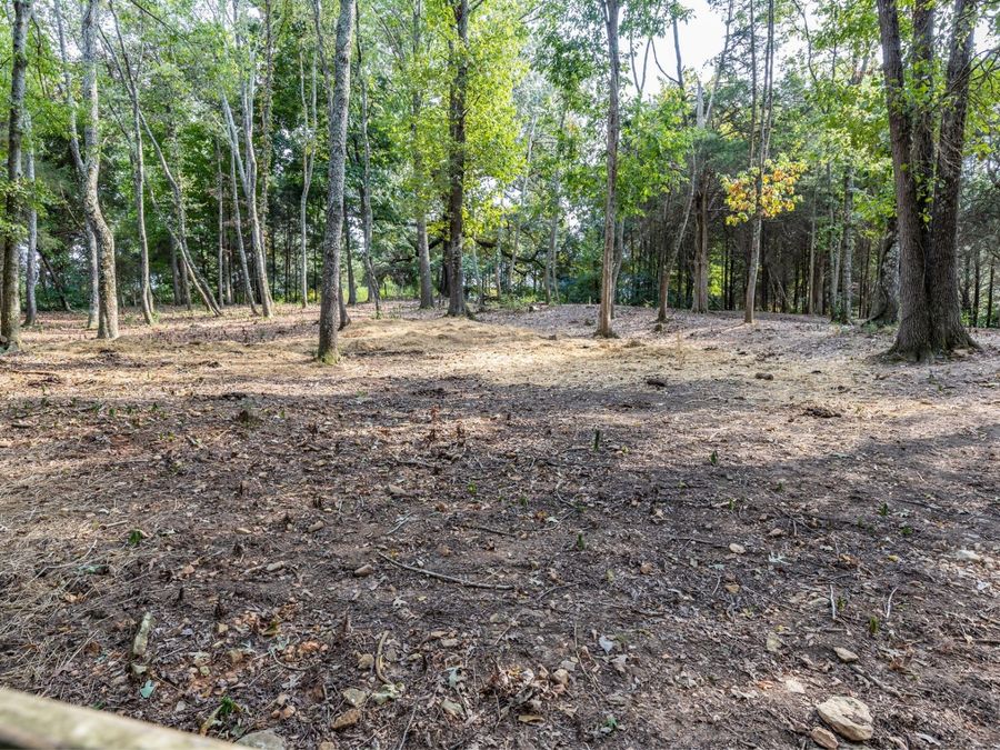 Property Image 61