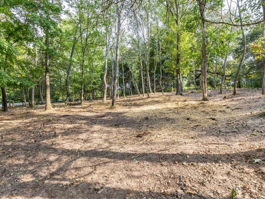 Property Image 62